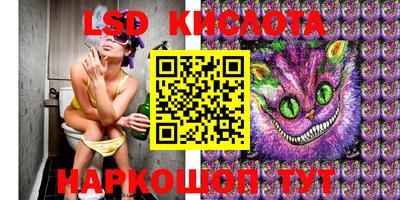 индика Тверь
