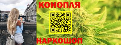 индика Тверь