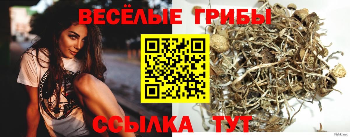 Новодвинск  Псилоцибиновые грибы мицелий  Вход с VPN 