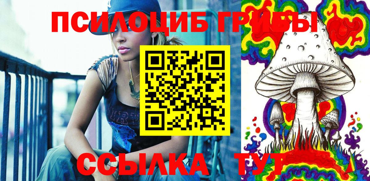 Псилоцибиновые грибы Psilocybine cubensis Новодвинск